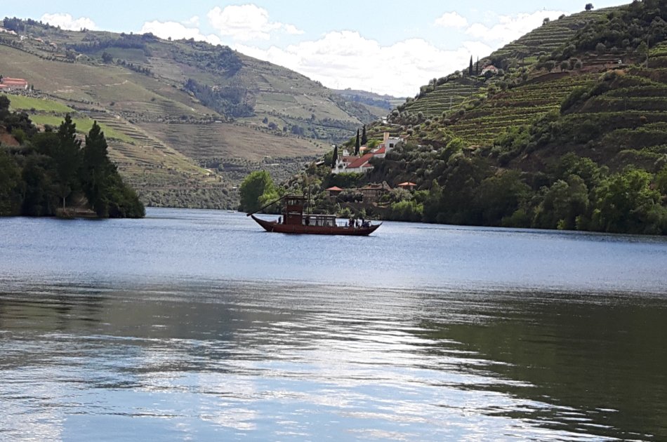 Douro Private Tour From Porto