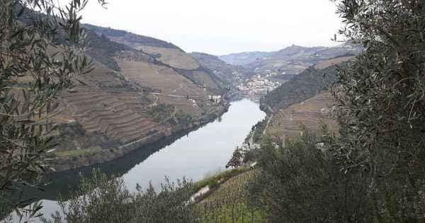 Douro Private Tour From Porto