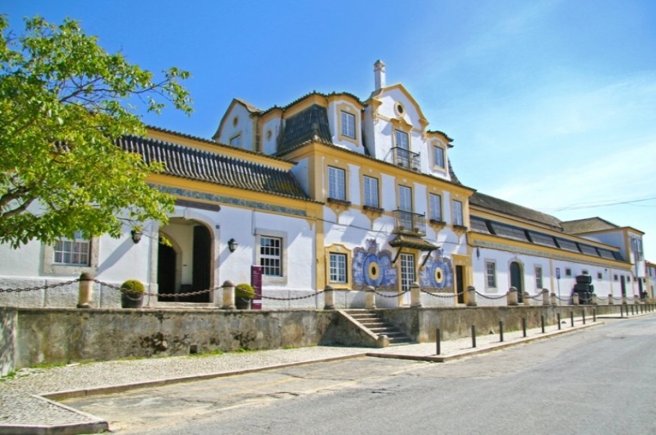 Enotour - Wine Tasting & Winery Tours near Lisbon with Lunch