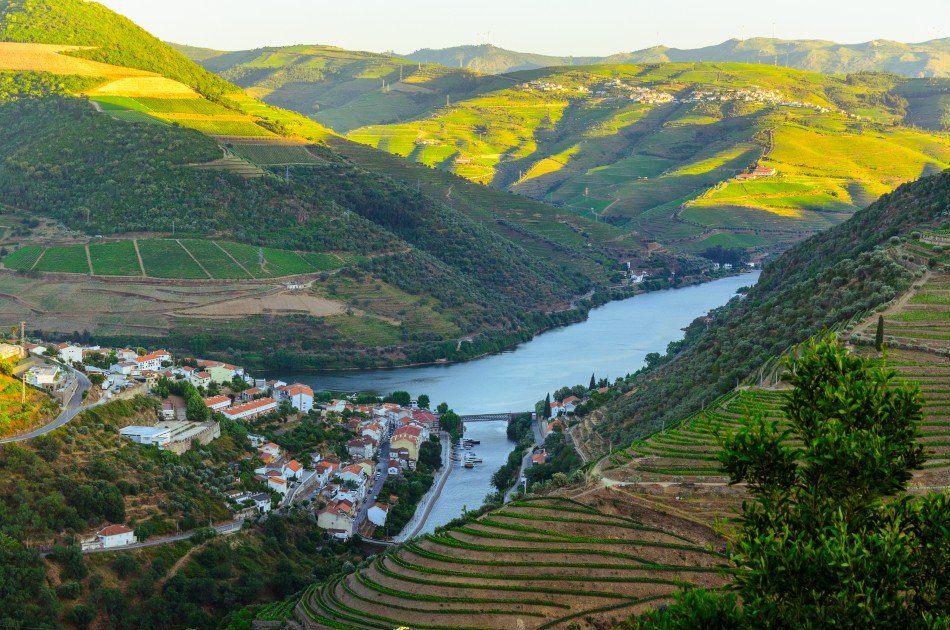 Full Day Oporto Family Vineyard Guided Tour In Portugal
