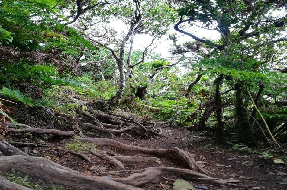 Hand in Hand with Nature Private Half Day Tour