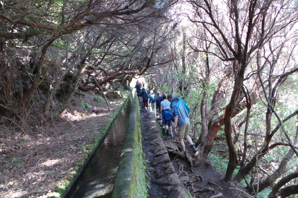 Rabaçal Levada Walk + Open Roof 4x4 Tour