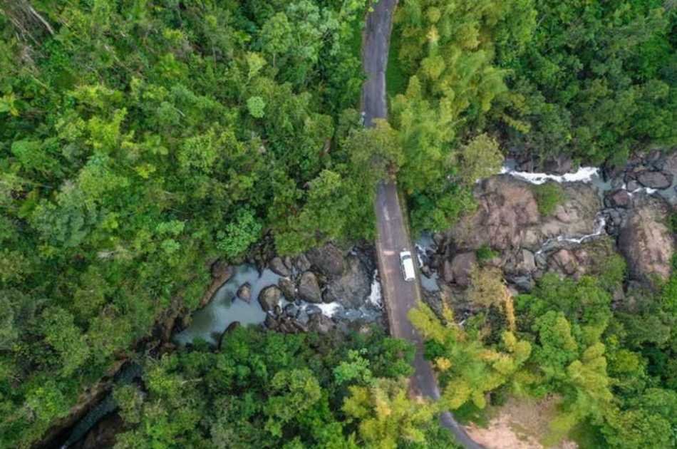 El Yunque Rainforest Experience - Off the beaten path!