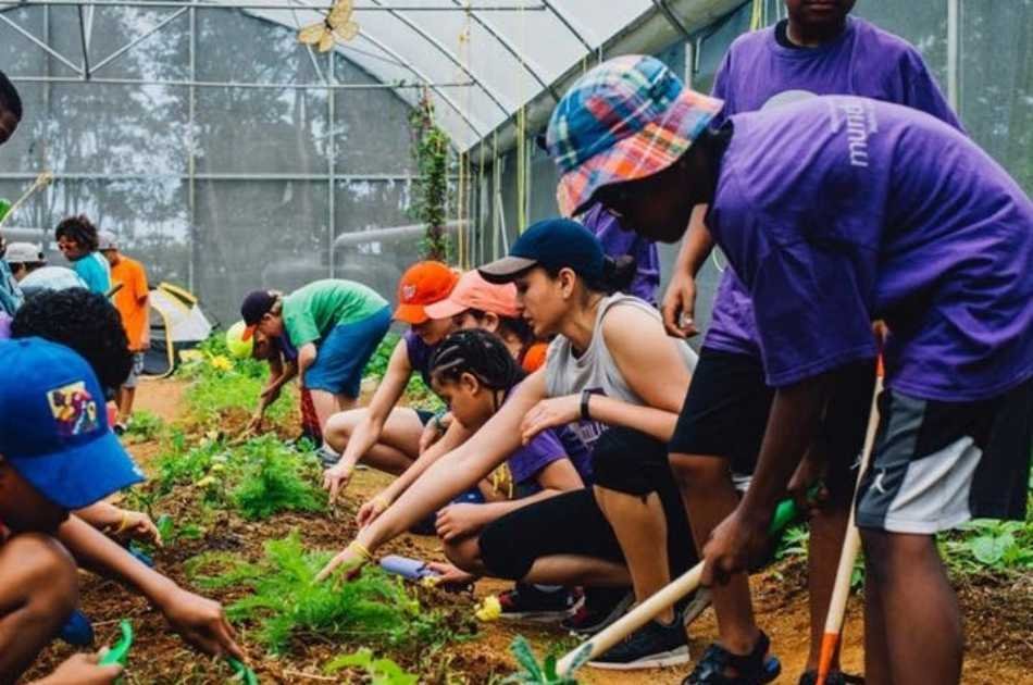 Workshop: Experience Life on a 11 Acre Organic Farm