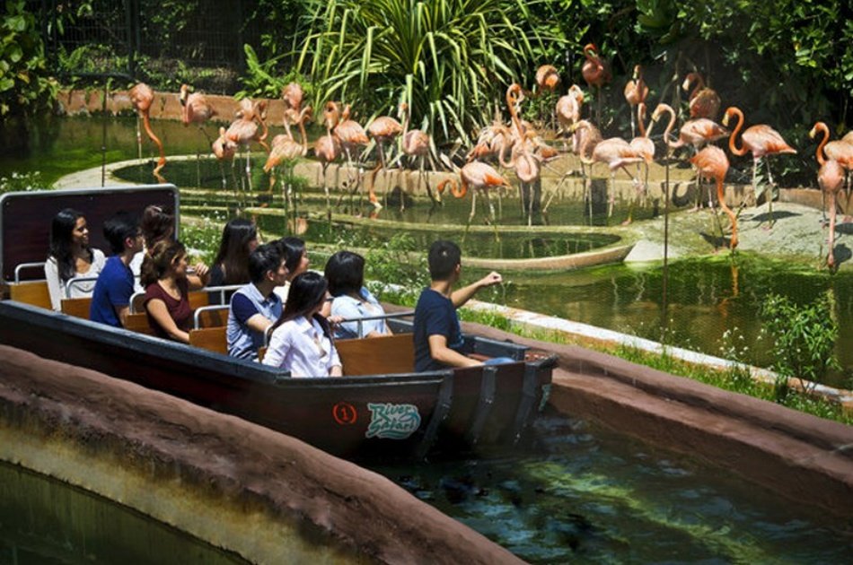 singapore river safari team building