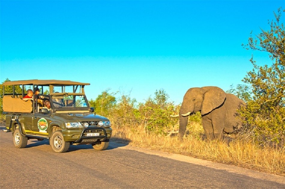 4 Day Private Kruger Classic Safari and Tour