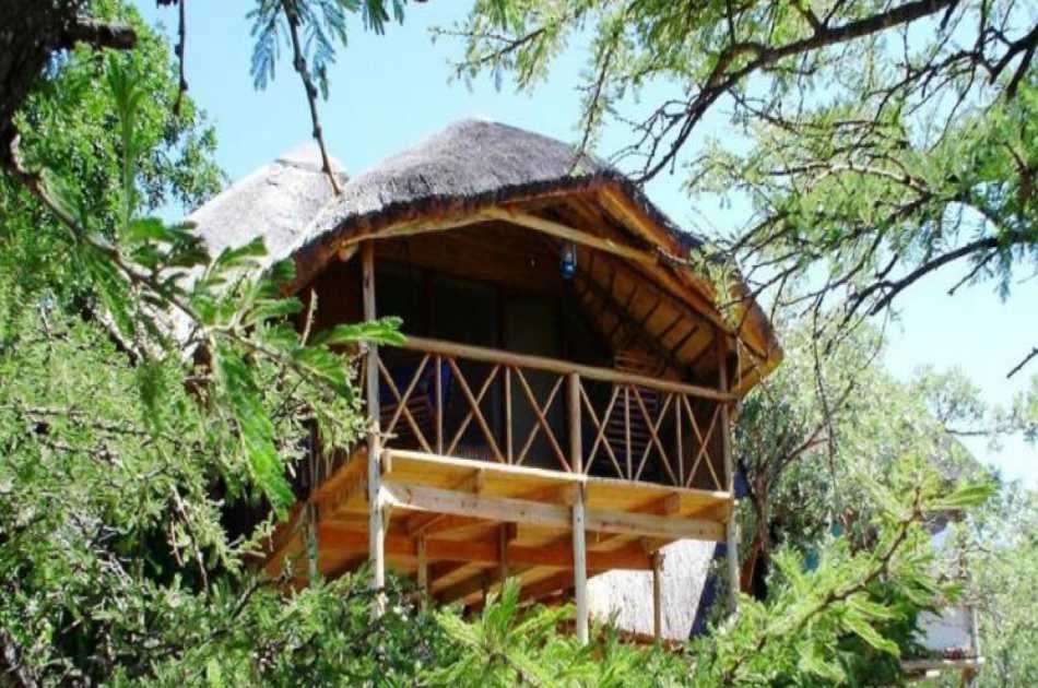 6 Day Kruger Park Tree House Safari