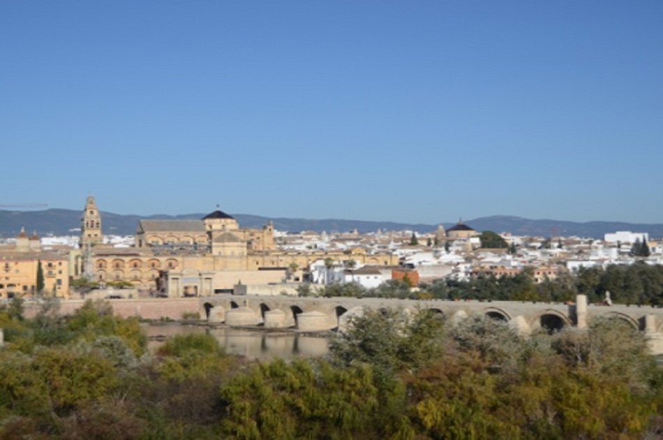 Cordoba Day Tour With a Local Expert From Seville