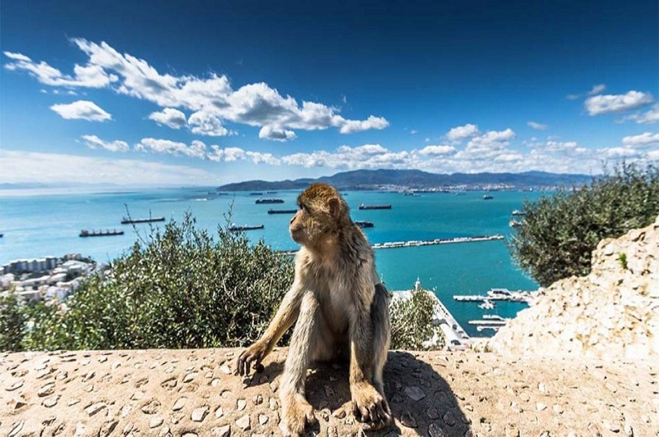 Private Tour of Gibraltar from Malaga