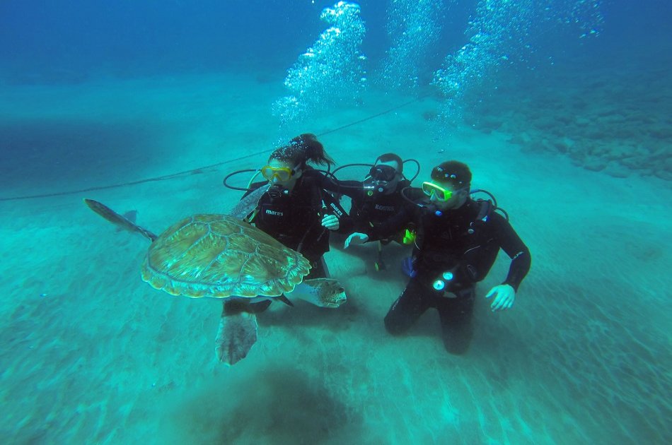 Try 40 minutes of Diving for beginners in Los Cristianos