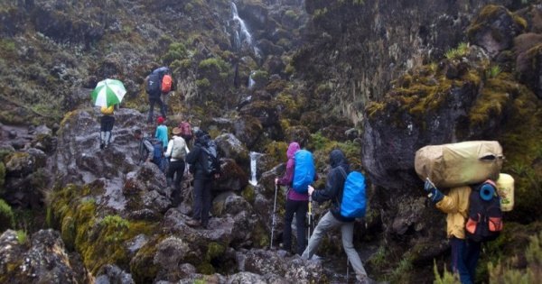 6 Days Mount Kilimanjaro Trekking via Machame Route  2 Nights Hotel Stay