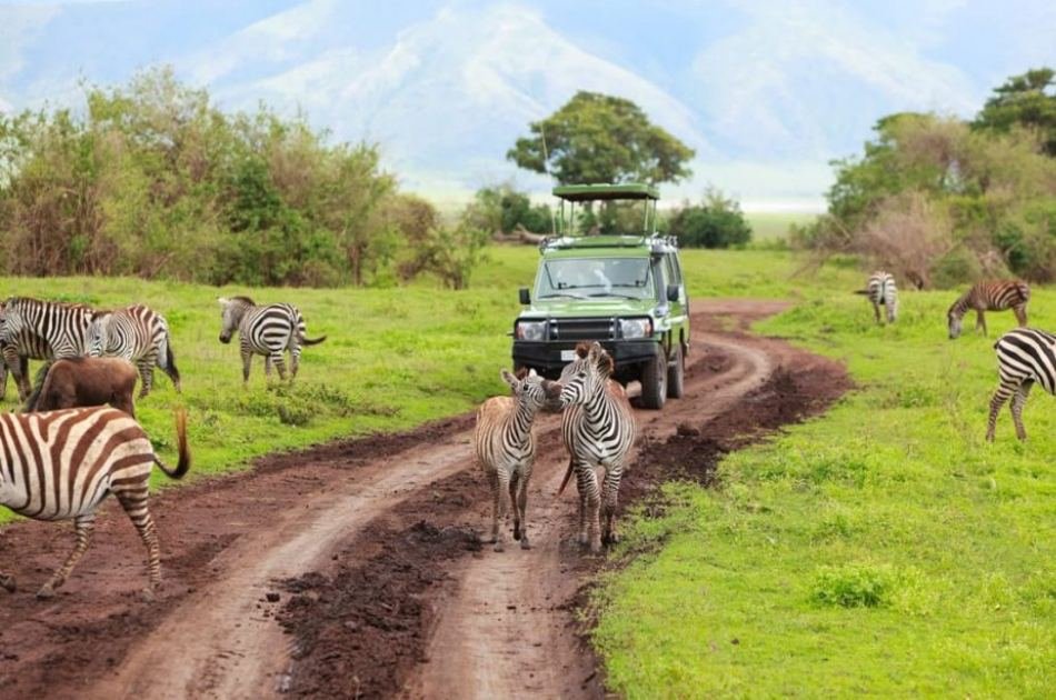 8-Days Authentic Small Group Tanzania Safari