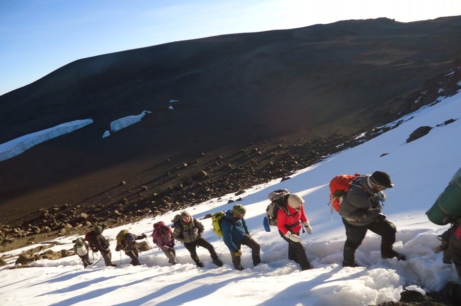 From the Peak of Kilimanjaro, Head to the Bush and Beach 8 Day Tour