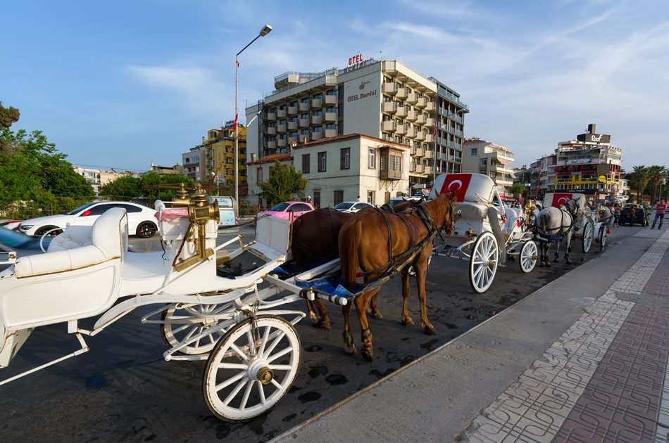 Assos, Troy and Gallipoli with Wreath Laying Ceremony Private Tour from Kusadasi