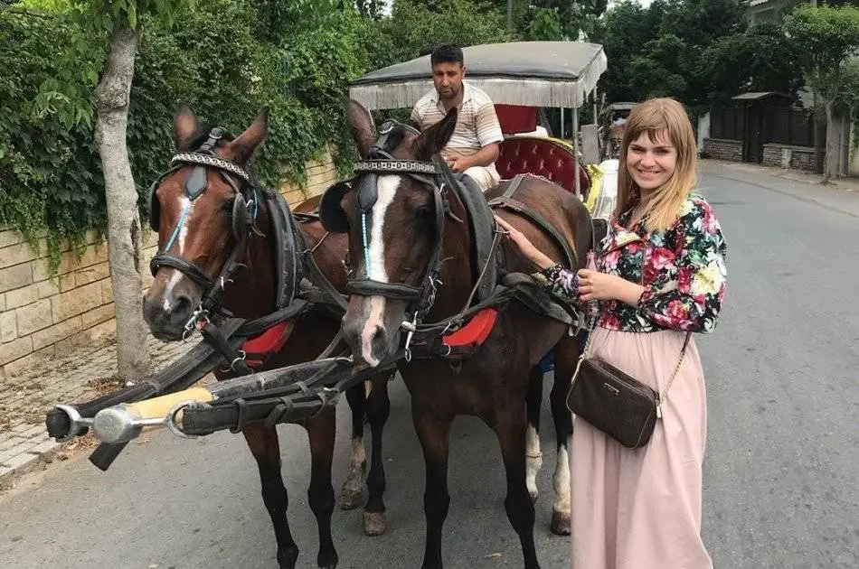 Istanbul Cruise Tour to the Princes Islands with Lunch