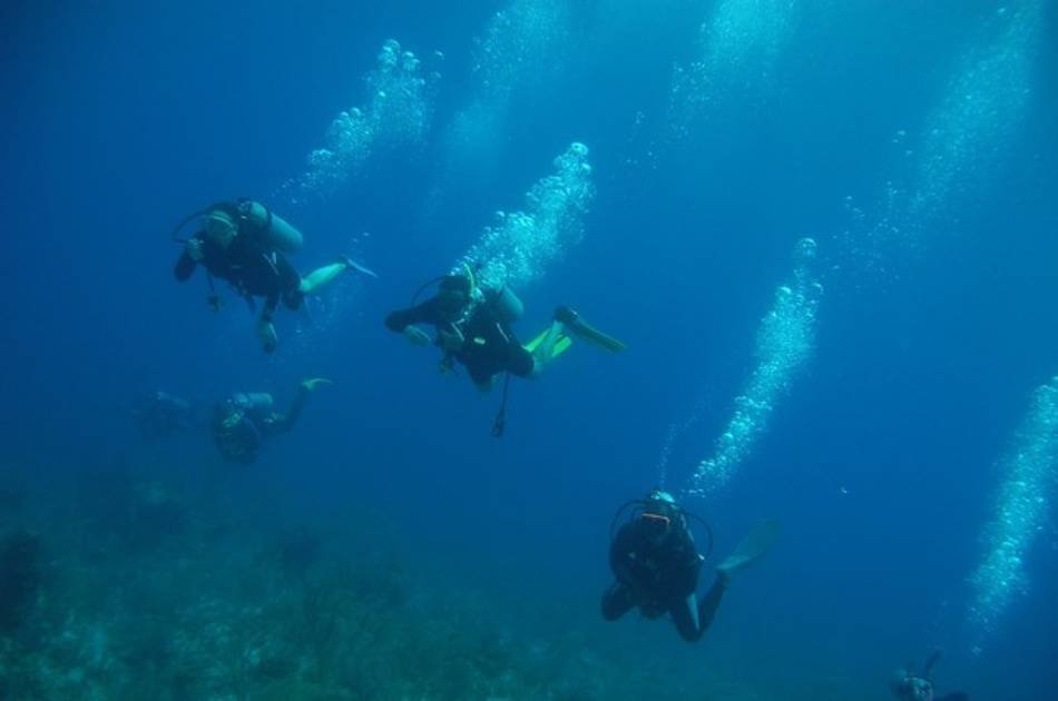 See the Underwater World on a Scuba Diving Tour from Kemer, Side and Alanya