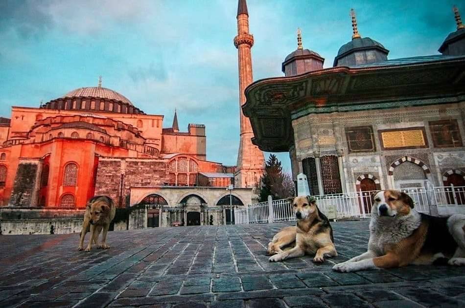 Wonderful Turkey with Incredible Sights on a 11 Day Tour