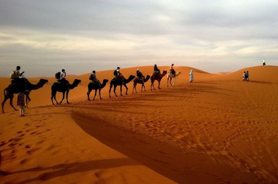 Private Morning Safari of Arabian Desert