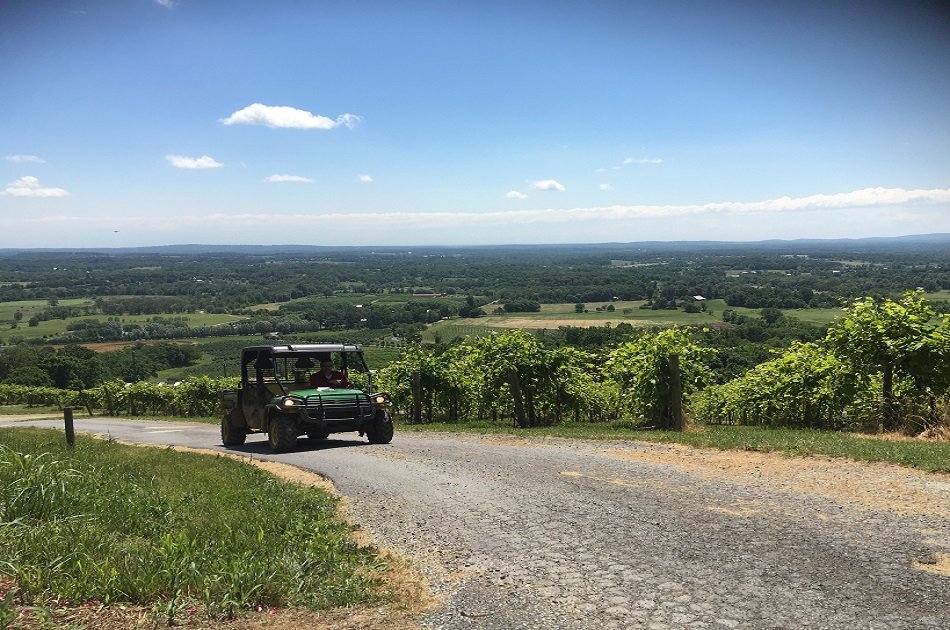 Customized Full Day Private Wine Tour in Virginia