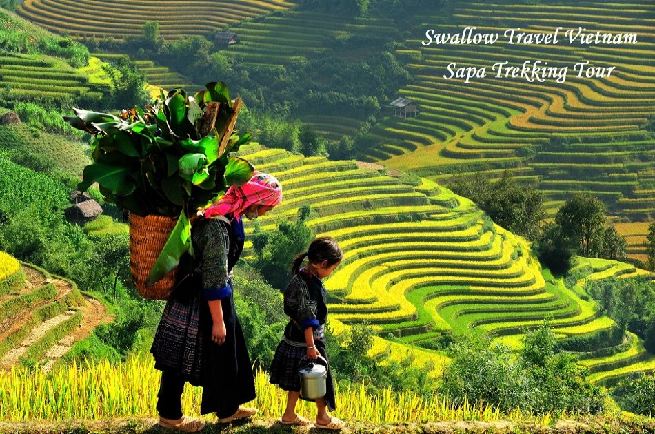 Guided Sapa Tour by Train 3 Nights 2 Days